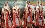 توزیع گوشت دولتی رایگان آغاز شد