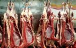 توزیع گوشت دولتی رایگان آغاز شد