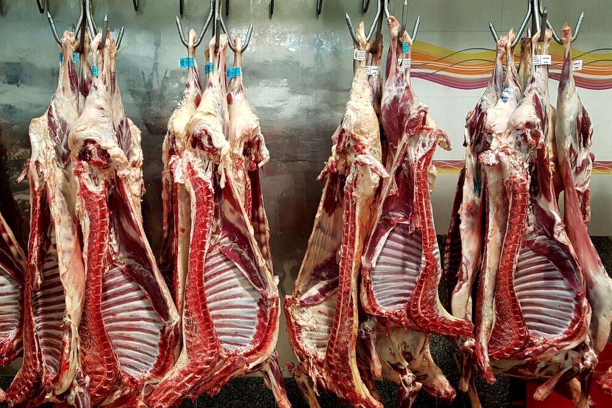 قیمت گوشت قرمز ۲۵ شهریور ۱۴۰۳ | آبگوشتی گوسفندی کیلویی چند؟
