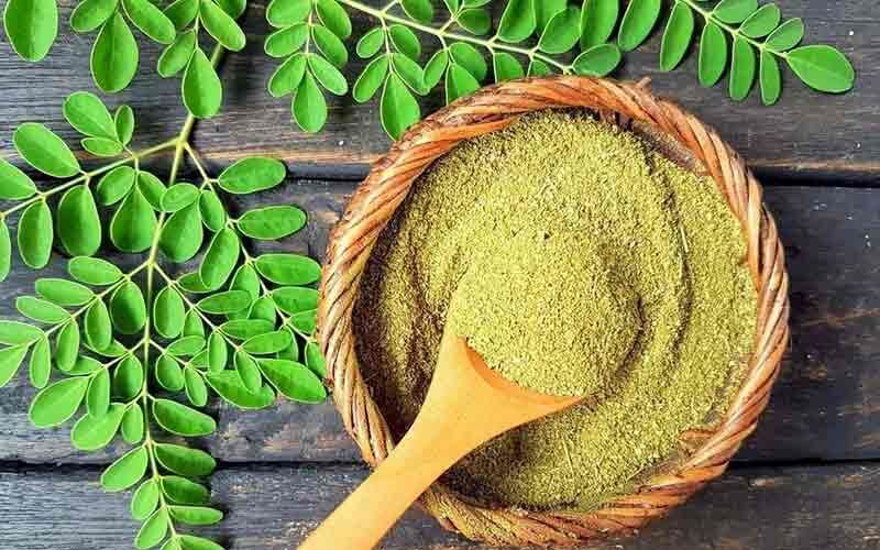 آشنایی با گیاهی پر از خاصیت