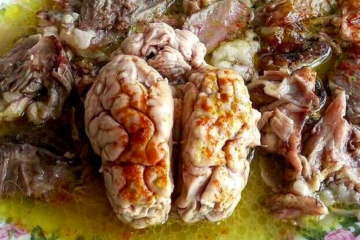 رفع بوی کله پاچه | نکاتی درباره طبخ کله پاچه