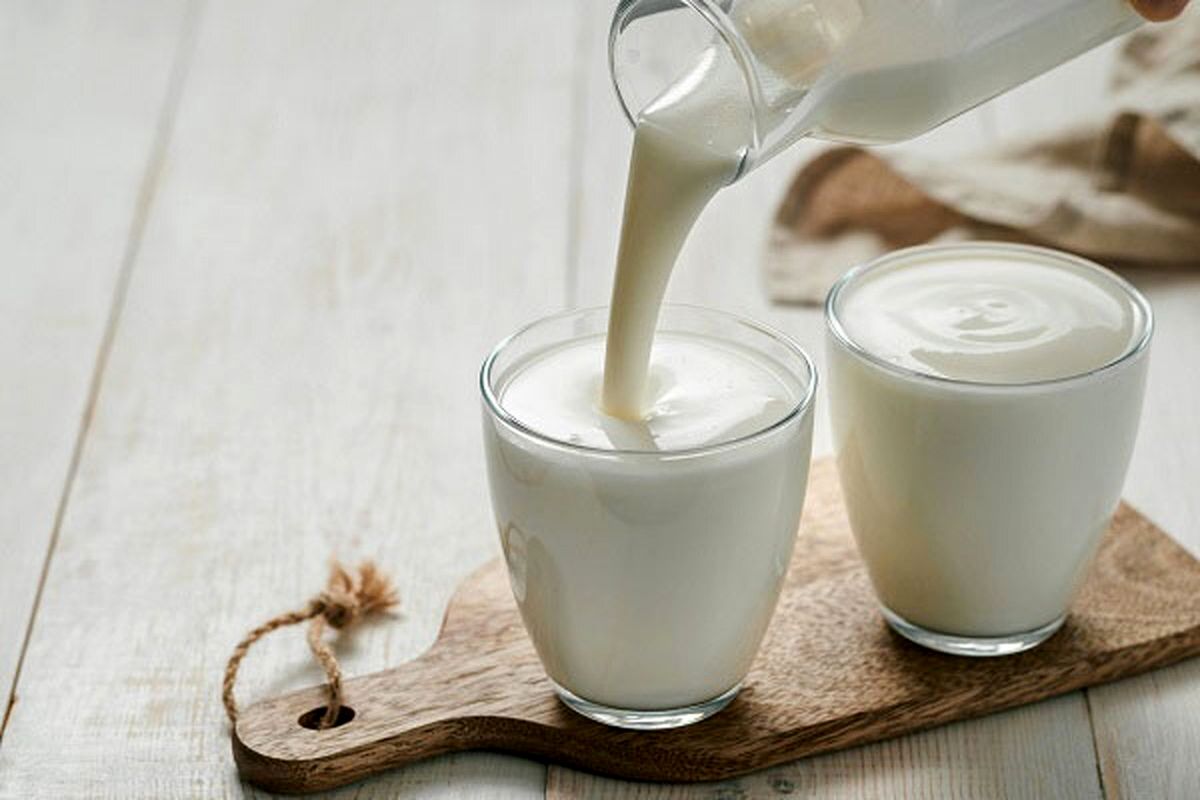 شیر را ناشتا نخورید | مضرات مصرف شیر با معده خالی