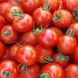 هشدار درباره مصرف گوجه‌فرنگی؛ این افراد بیشتر از بقیه مراقب باشند
