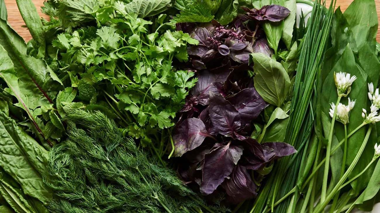 این سبزی برای درمان سرطان مثل شیمی درمانی عمل می‌کند + جزئیات
