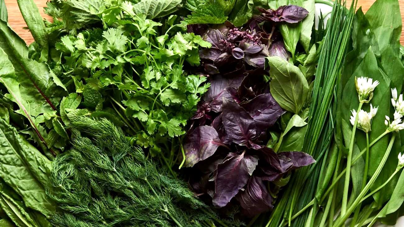 این سبزی برای درمان سرطان مثل شیمی درمانی عمل می‌کند + جزئیات