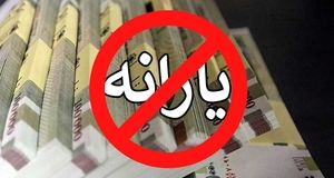 اصلاح قطع یارانه خانوارها به دلیل دارایی فرزندان بالای ۱۸ 