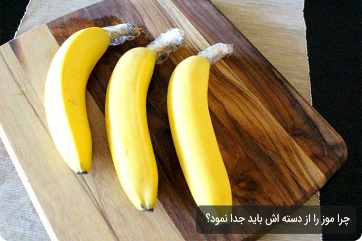 موز رو مثل حرفه ایا نگهدار | فوت و فن نگهداری موز برای طولانی مدت بدون خرابی و سیاه شدن