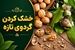 ترفند جادویی خشک کردن گردو تازه و سبز در خانه بدون  کپک‌زدگی