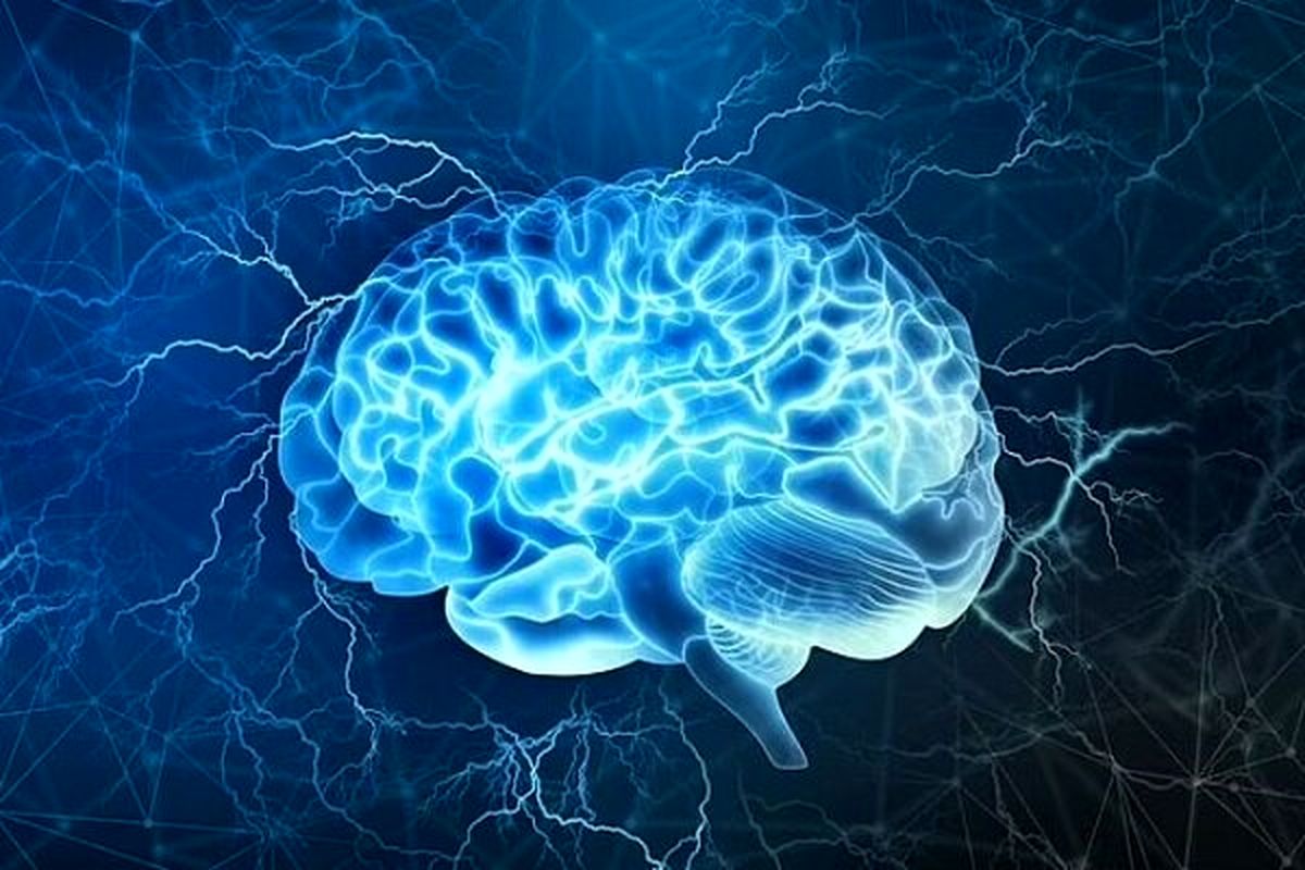 راهکارهایی که از مغز شما در برابر آلزایمر محافظت می‌کند | پیشگیری از آلزایمر 