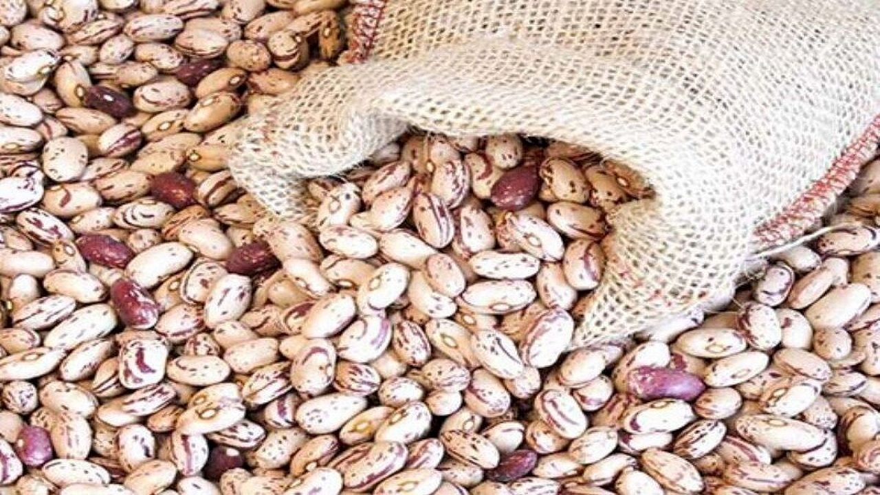 ریزش شدید قیمت لوبیا چیتی در بازار