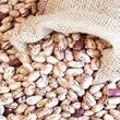 ریزش شدید قیمت لوبیا چیتی در بازار