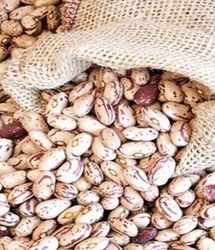 ریزش شدید قیمت لوبیا چیتی در بازار