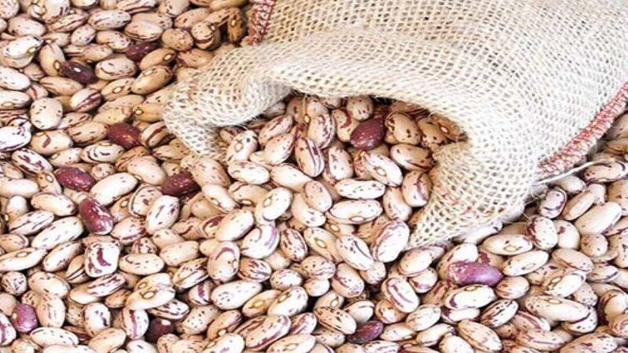ریزش شدید قیمت لوبیا چیتی در بازار