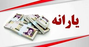 اطلاعیه مهم برای یارانه بگیران | نحوه جداسازی یارانه بدون ازدواج از خانواده
