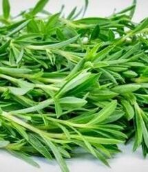 تقویت کلیه و کبد، تقویت مو، پیشگیری از هر نوع بیماری با این سبزی ارزان قیمت