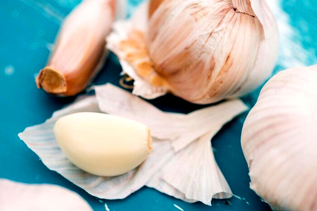 حبه سیر را قورت بدهیم یا خرد شده بخوریم؟ | روش صحیح مصرف سیر