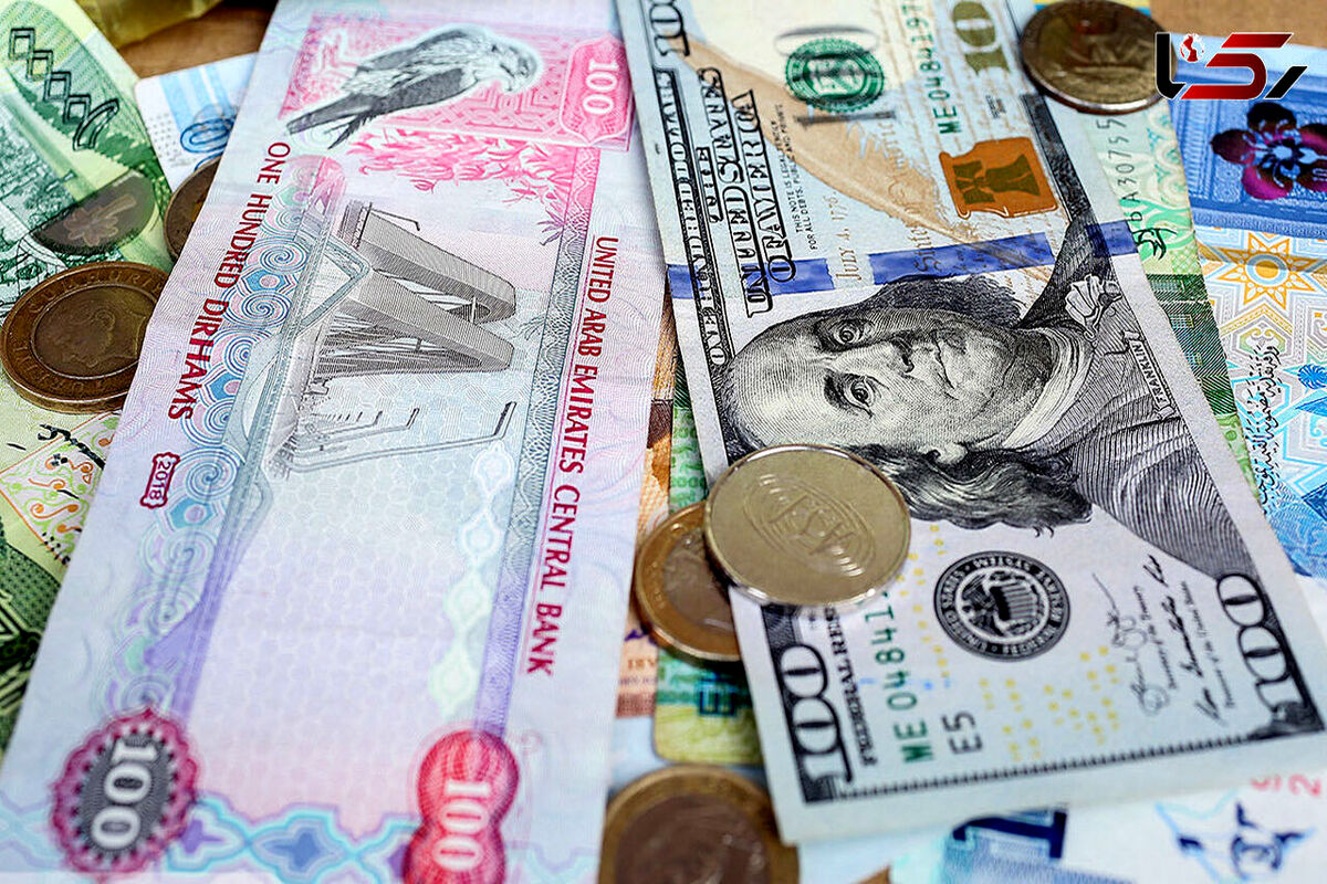 قیمت دلار و یورو امروز ۲۰ دی ۱۴۰۳ | دلار دوباره گران شد
