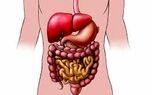 فیلم | استرس چه تأثیری روی گوارش ما دارد؟