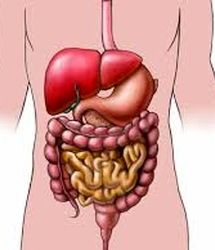 فیلم | استرس چه تأثیری روی گوارش ما دارد؟