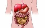 فیلم | استرس چه تأثیری روی گوارش ما دارد؟