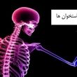 ویدئو | چه‌کار کنیم استخوان‌های محکمی داشته باشیم؟!