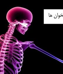 ویدئو | چه‌کار کنیم استخوان‌های محکمی داشته باشیم؟!
