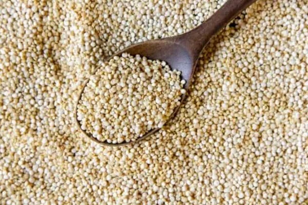 جایگزین ارزان قیمت گوشت این گیاه است | مواد مغذی این گیاه چند برابر گوشت می باشد + خواص درمانی