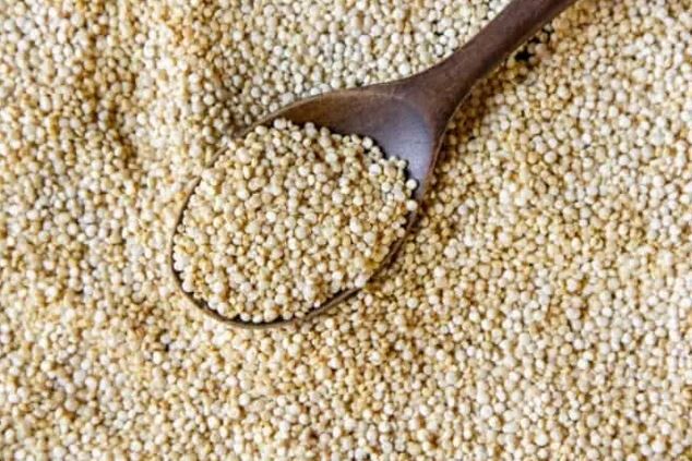 جایگزین ارزان قیمت گوشت این گیاه است | مواد مغذی این گیاه چند برابر گوشت می باشد + خواص درمانی