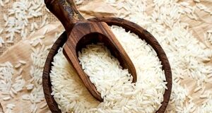 بازار برنج تکان خورد | منوعیت فصلی واردات برنج لغو شد