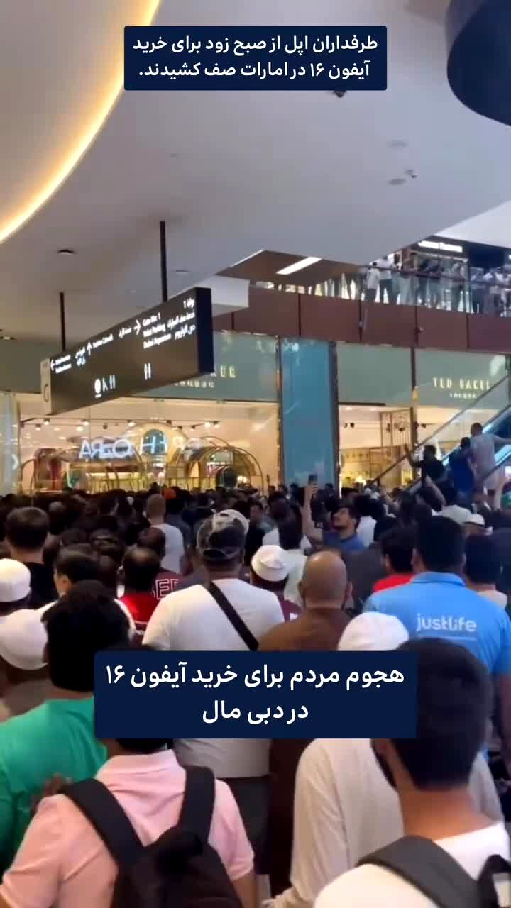 ببینید | برده گوشی!