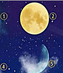 یکی از تصاویر و انتخاب کن و سرنوشت این هفته رو بخون