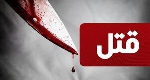 ویدئو | دو پسر جوان تبعه افغان خواستگار خواهرشان را کشتند