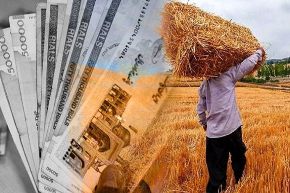 خبر خوش دولت از واریزی جدید برای گندمکاران