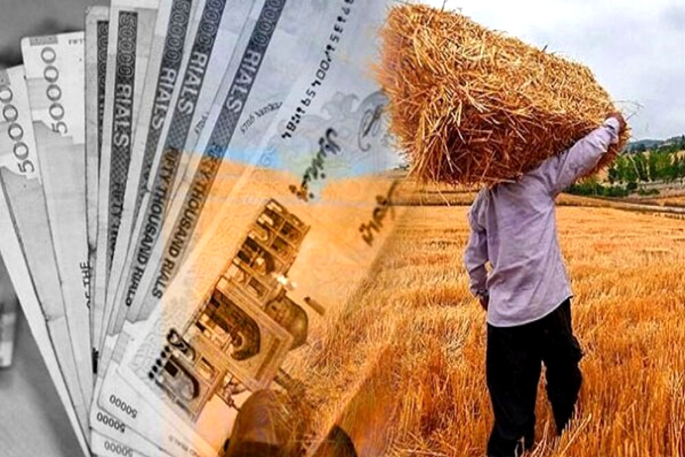 وام 200 میلیون تومانی ویژه گندم‌کاران با اقساط بلند مدت