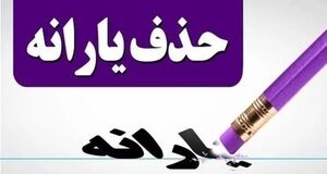 حذف یارانه نقدی این افراد کلید خورد + فیلم
