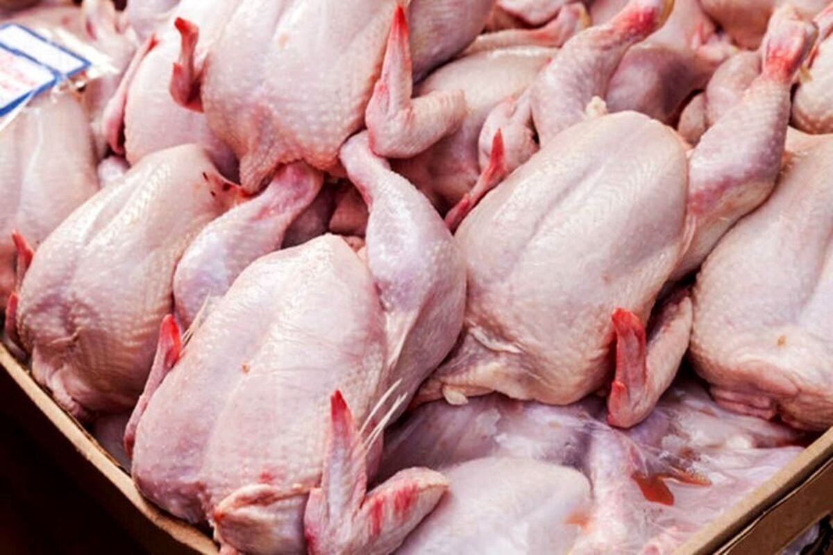 آخرین قیمت مرغ امروز شنبه 13 تیر 1405+ جدول