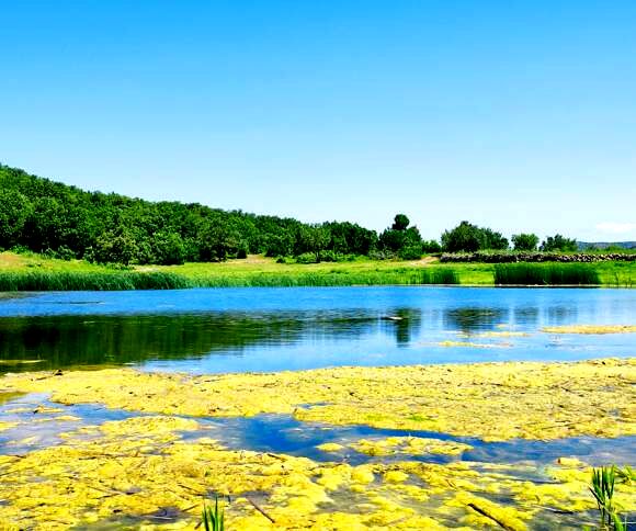 ببینید | دریاچه ای شگفت انگیز در کردستان
