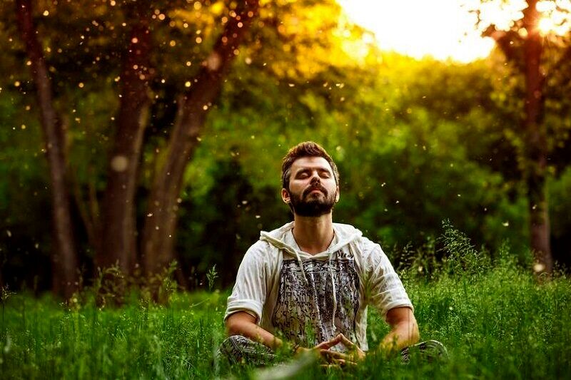 خواص آفتاب پاییزی برای تقویت سیستم ایمنی