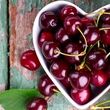 آموزش کاشت گیلاس در گلدان /  ترفند کاربردی پرورش گیلاس در خانه