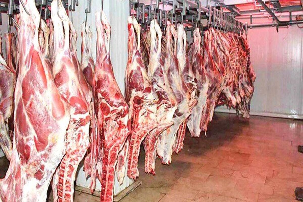 قیمت گوشت قرمز امروز ۱۵ آبان | گوشت گوسفندی کیلویی چند؟