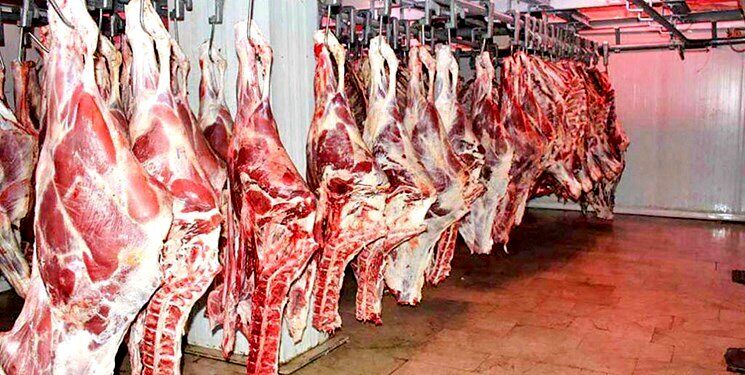 قیمت گوشت قرمز امروز ۱۰ دی ۱۴۰۳ |  گوشت خورشتی کیلویی چند؟