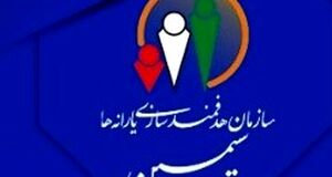دریافت یارانه نقدی با یک کلیک! | سامانه سیمین چگونه کار می‌کند؟